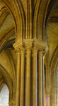 Cathédrale Notre Dame de Paris II